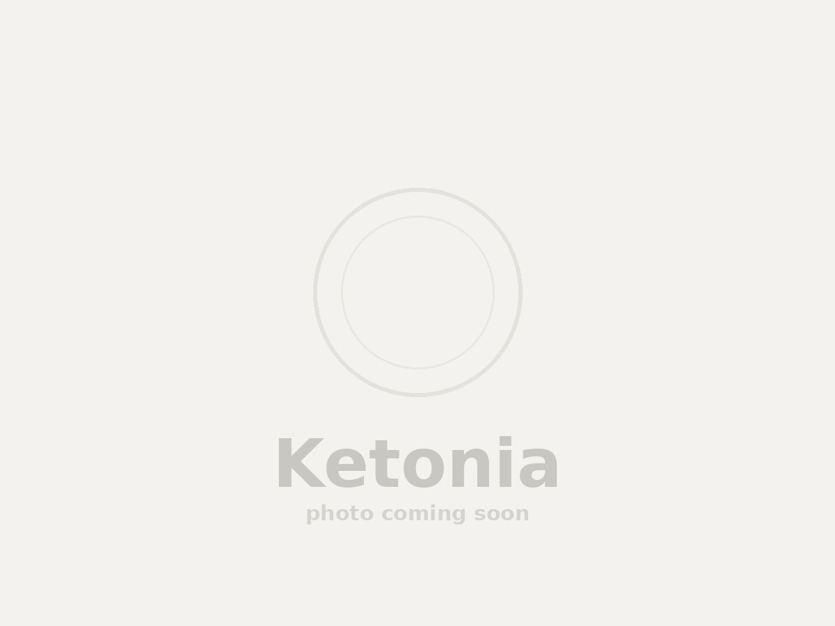 Ketonia Coconut Macaroon Breakfast Bar